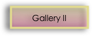 Gallery II 