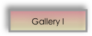 Gallery I