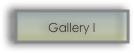Gallery I
