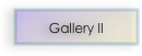 Gallery II 