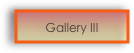 Gallery III 